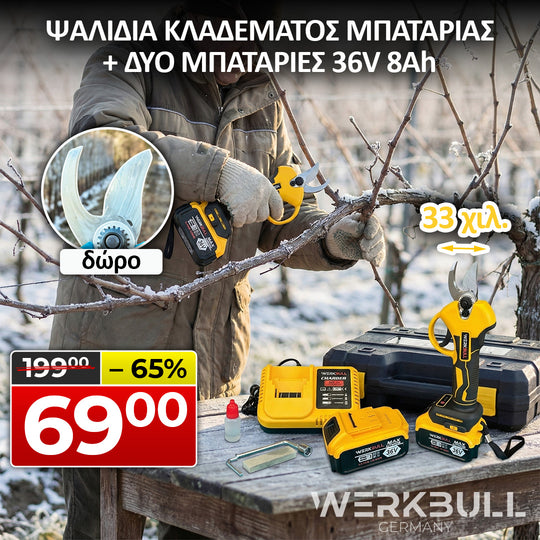 <tc>Επαγγελματικό κλαδευτήρι μπαταρίας χωρίς ψήκτρες WerkBull Germany® /36V, 8Ah/ + δύο μπαταρίες  χρωμα μπλε ή κιτρινο</tc>